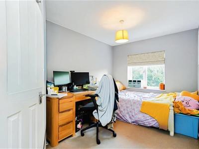 Picture 11